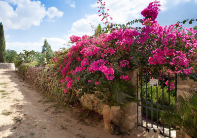 Bed And Breakfast Dimora storica Tenuta Cammarana